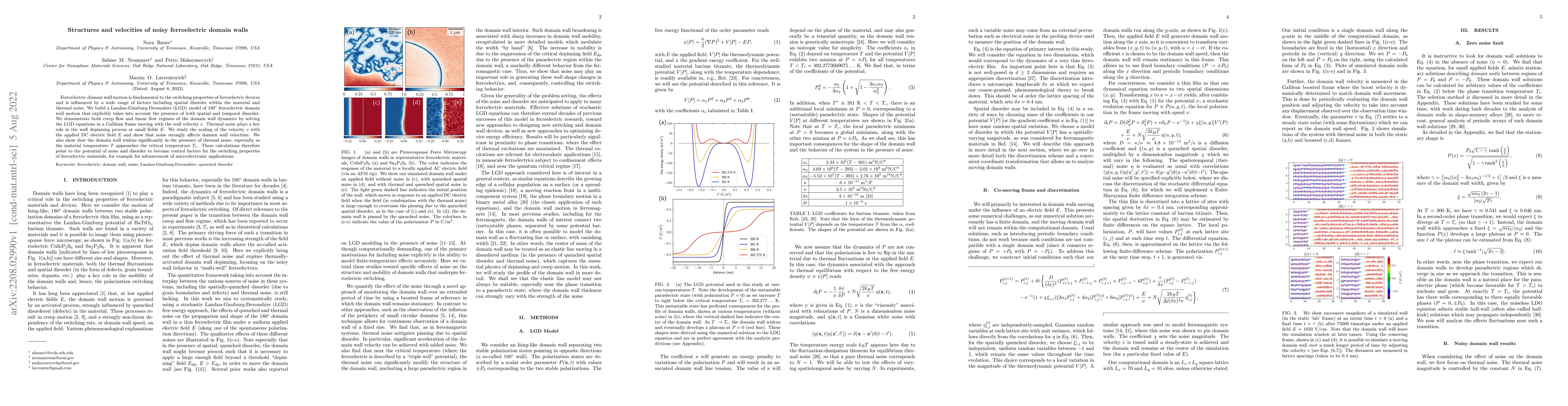 Thumbnail for Structures and velocities of noisy ferroelectric domain walls