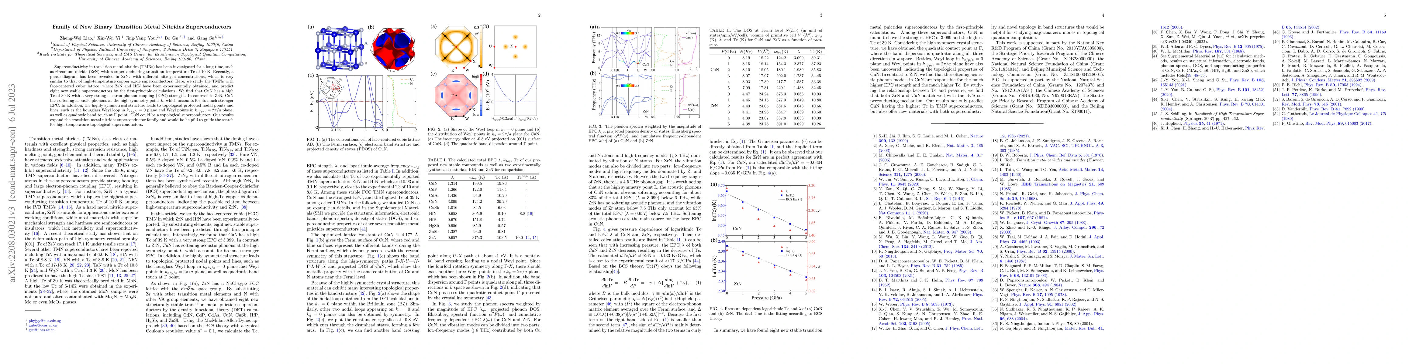 Thumbnail for Family of binary transition metal pnictide superconductors