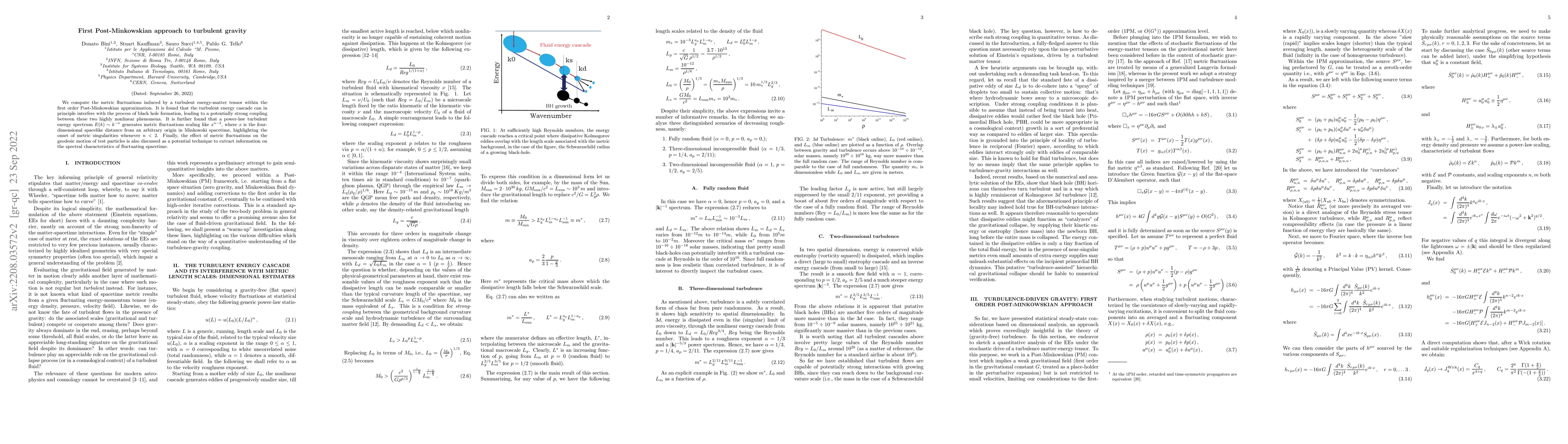 Thumbnail for First Post-Minkowskian approach to turbulent gravity