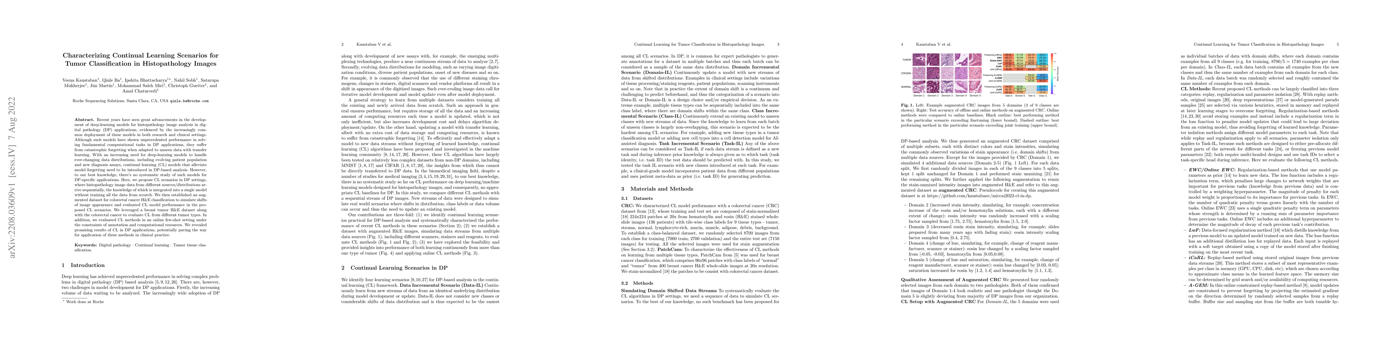 Thumbnail for Continual Learning for Tumor Classification in Histopathology Images