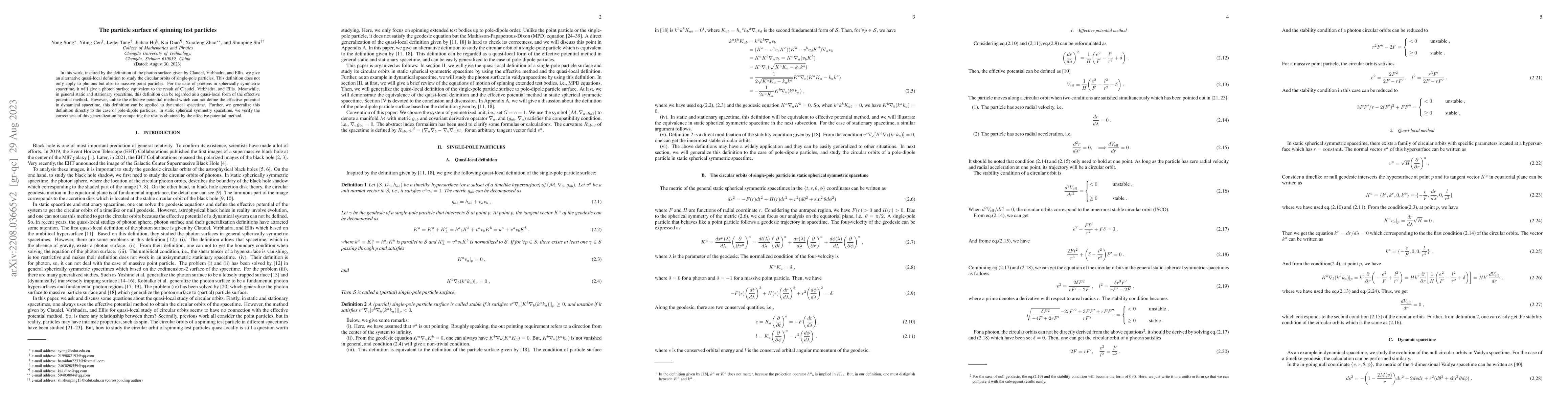 Thumbnail for The particle surface of spinning test particles