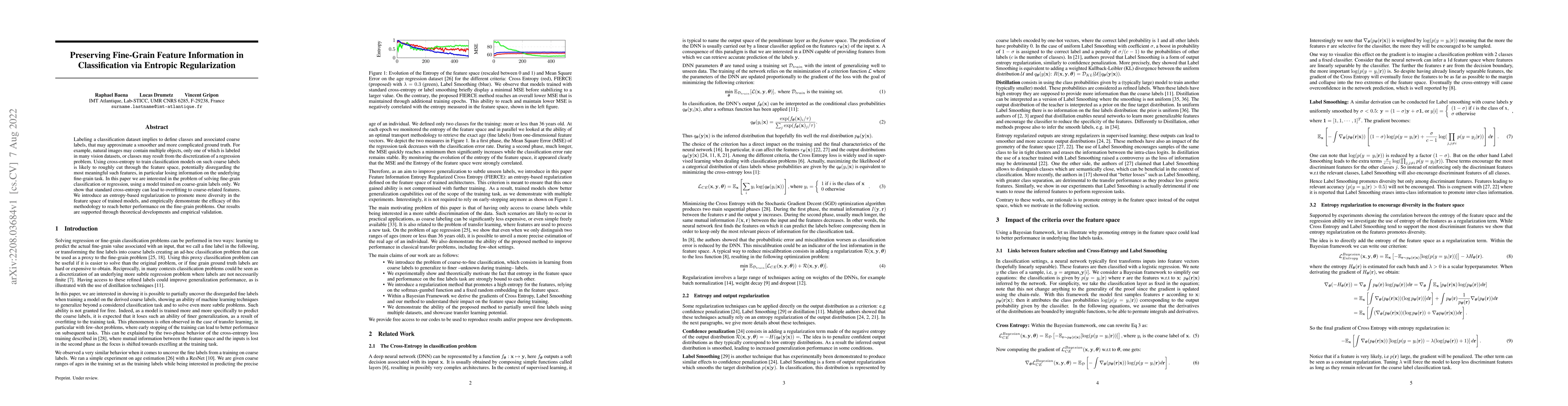 Thumbnail for Preserving Fine-Grain Feature Information in Classification via Entropic
  Regularization