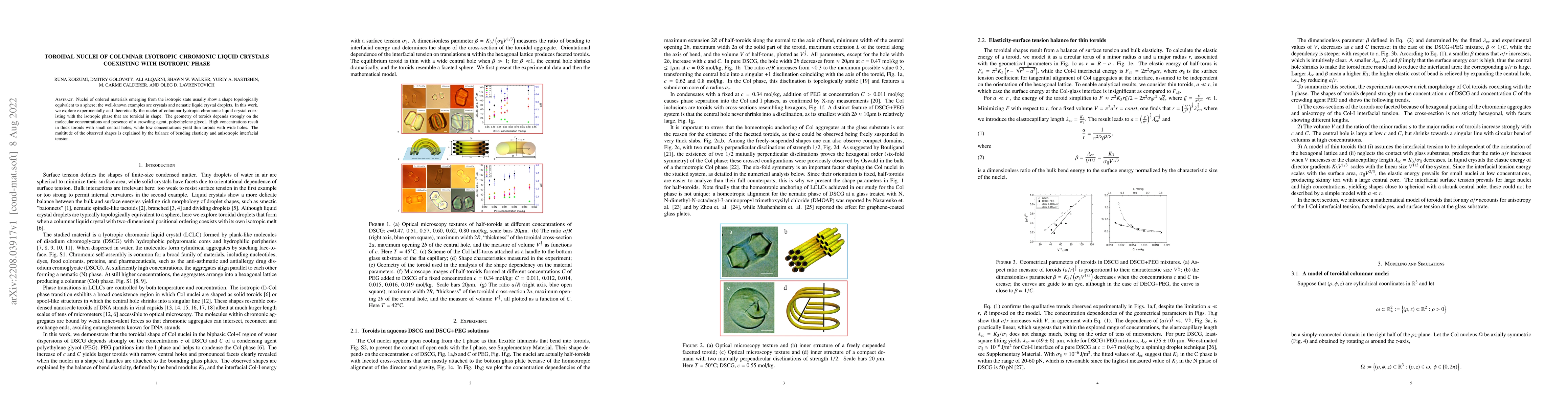 Thumbnail for Toroidal nuclei of columnar lyotropic chromonic liquid crystals
  coexisting with isotropic phase