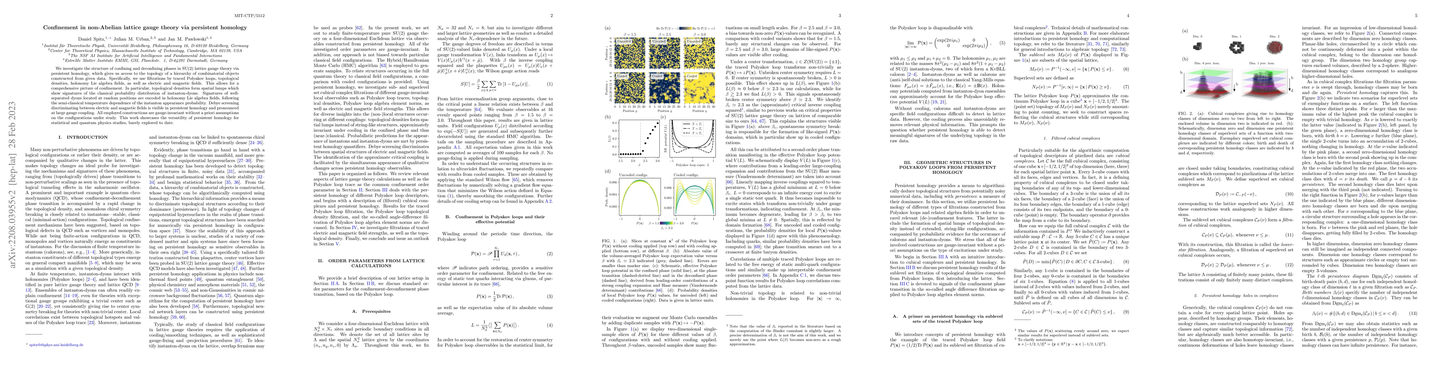 Thumbnail for Confinement in non-Abelian lattice gauge theory via persistent homology