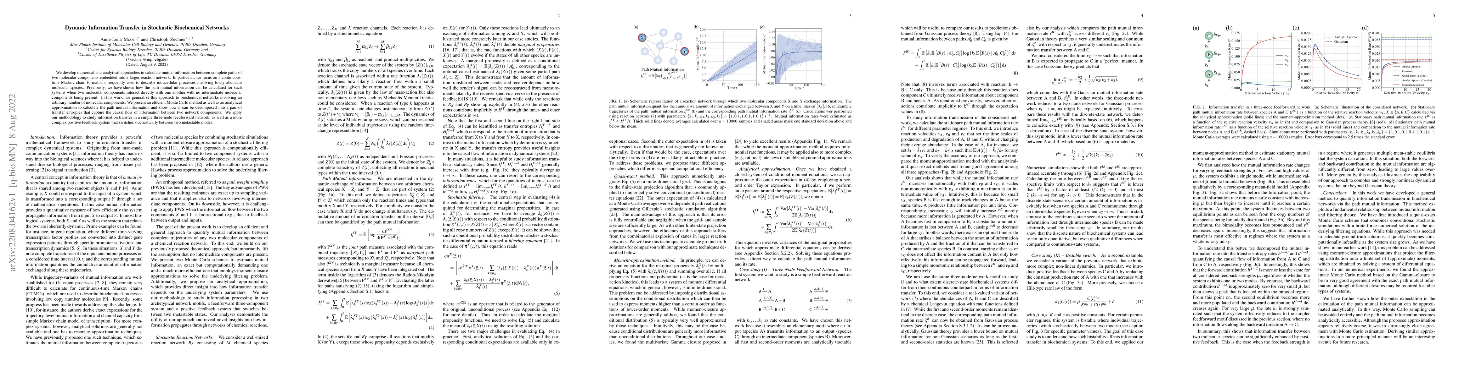 Thumbnail for Dynamic Information Transfer in Stochastic Biochemical Networks