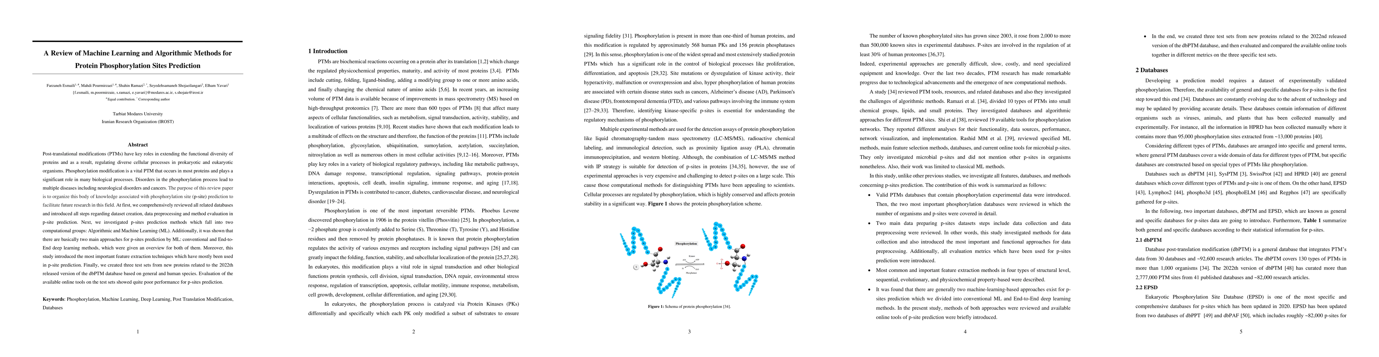 Thumbnail for A Review of Machine Learning and Algorithmic Methods for Protein
  Phosphorylation Sites Prediction