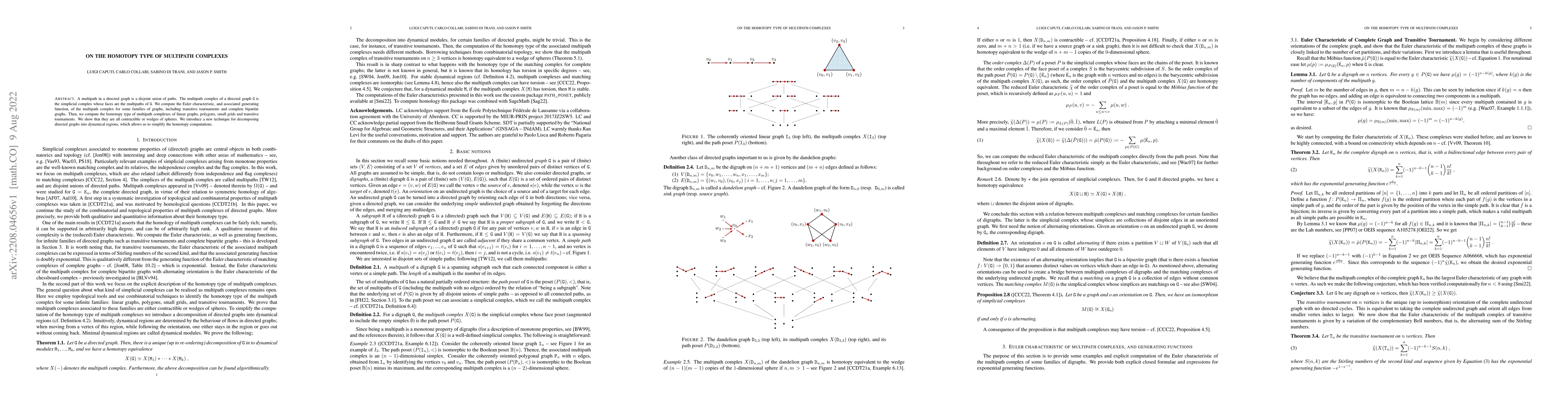 Thumbnail for On the homotopy type of multipath complexes