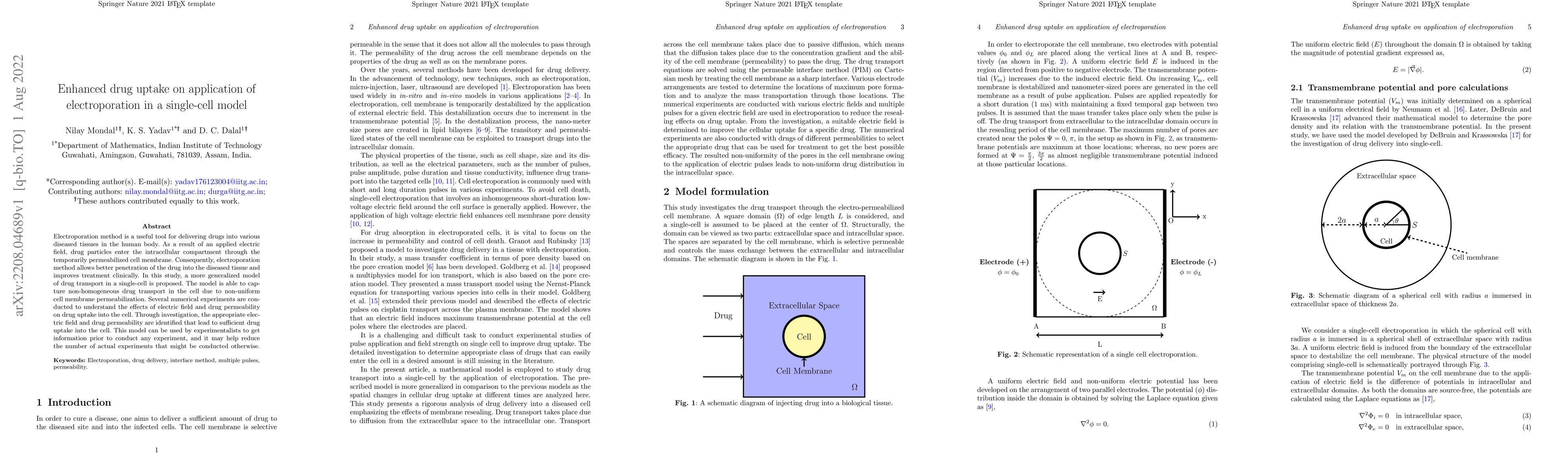 Thumbnail for Enhanced drug uptake on application of electroporation in a single-cell
  model