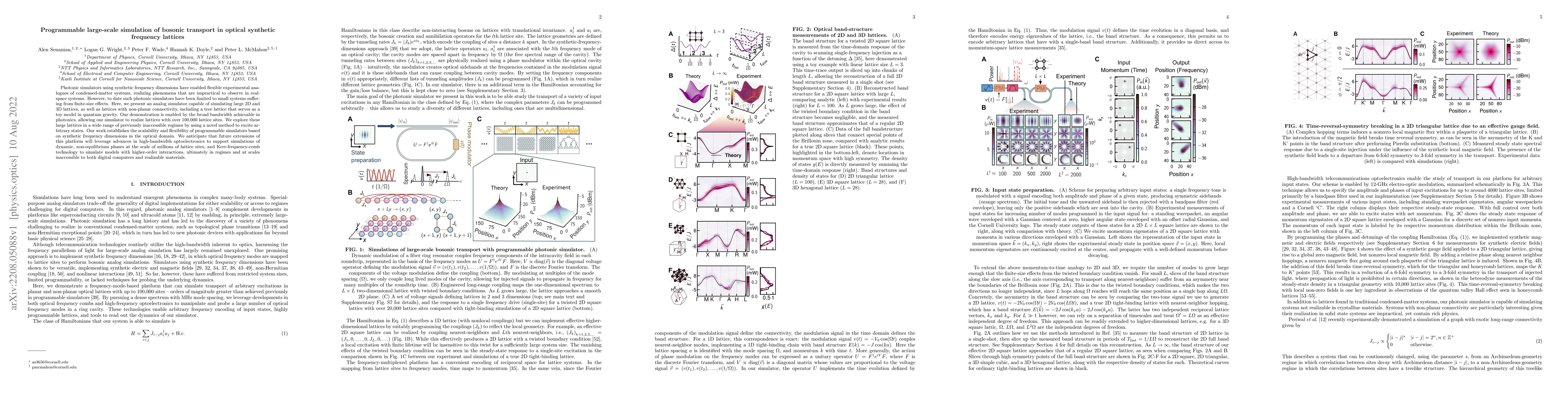 Thumbnail for Programmable large-scale simulation of bosonic transport in optical
  synthetic frequency lattices