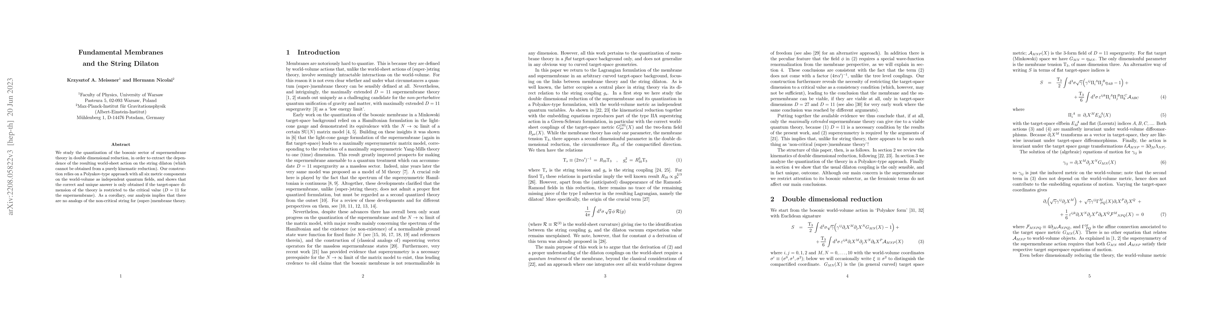 Thumbnail for Fundamental Membranes and the String Dilaton