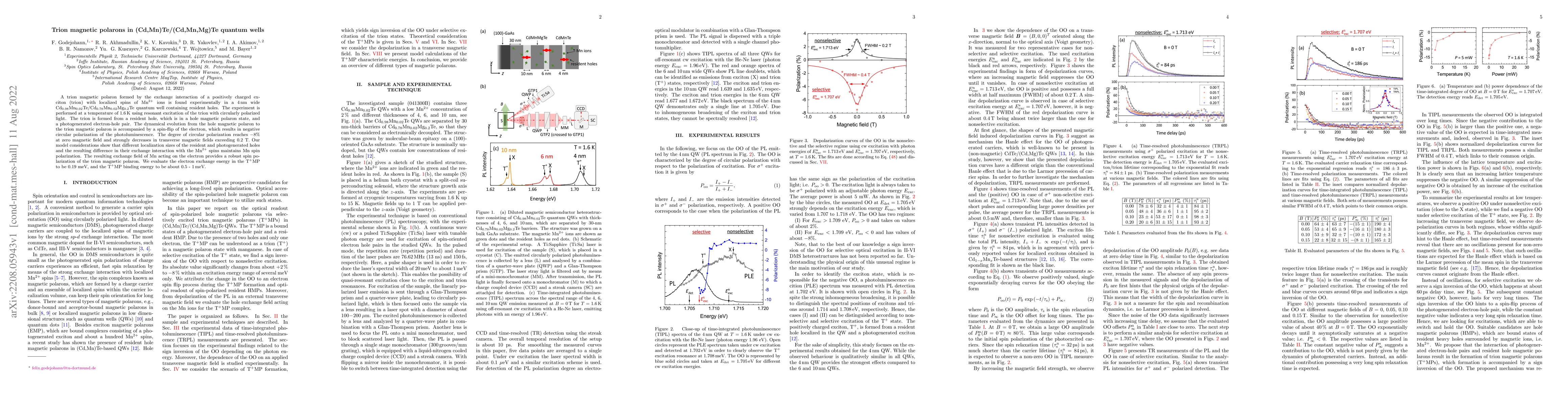 Thumbnail for Trion magnetic polarons in (Cd,Mn)Te/(Cd,Mn,Mg)Te quantum wells