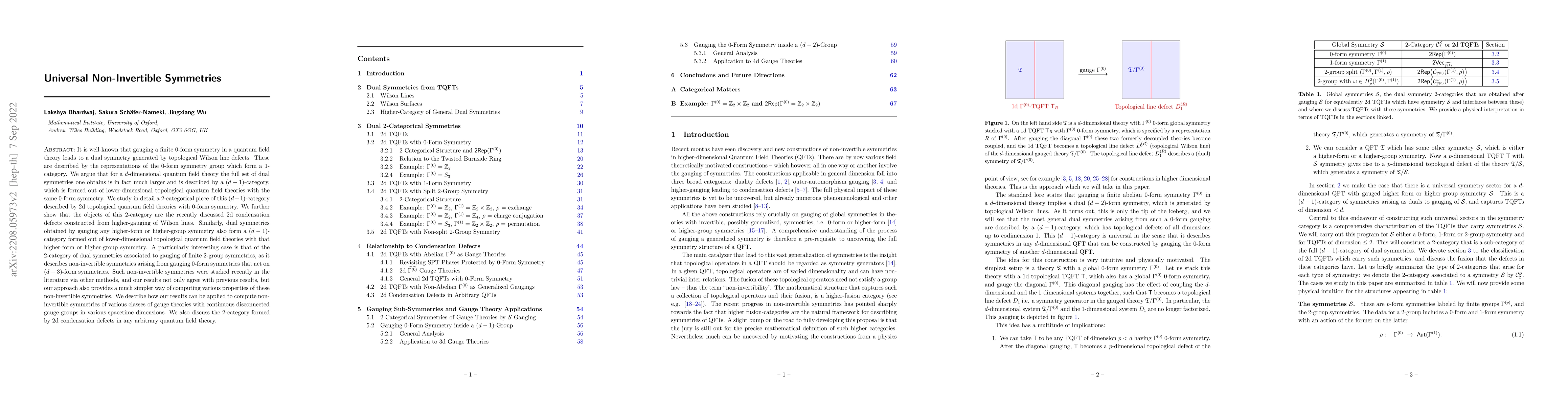Thumbnail for Universal Non-Invertible Symmetries