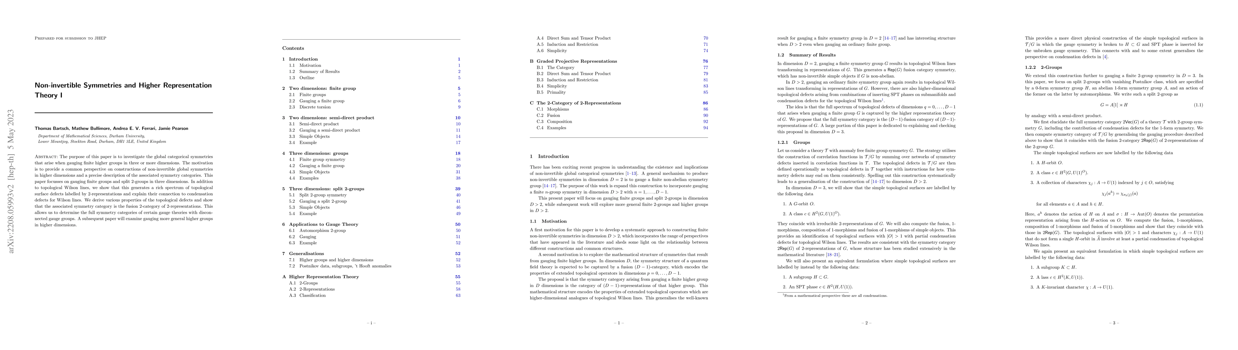 Thumbnail for Non-invertible Symmetries and Higher Representation Theory I