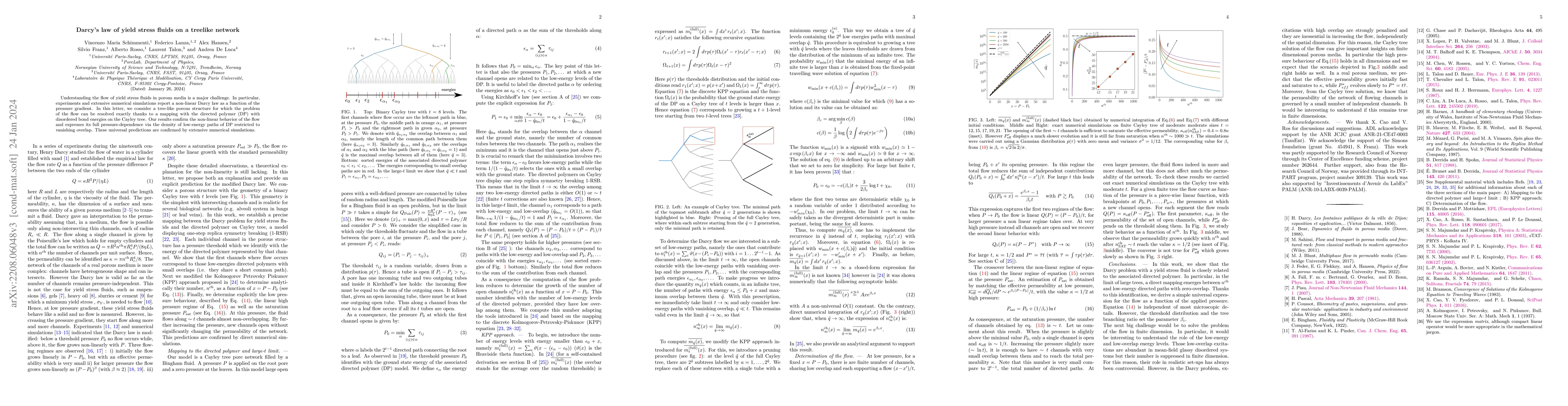 Thumbnail for Darcy's law of yield stress fluids on a treelike network