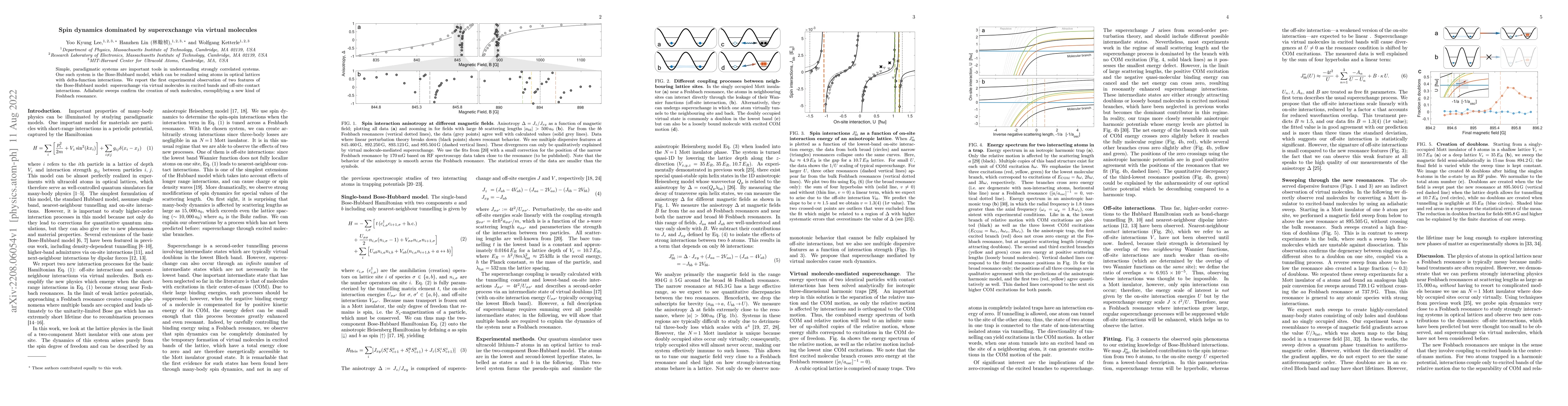 Thumbnail for Spin dynamics dominated by superexchange via virtual molecules