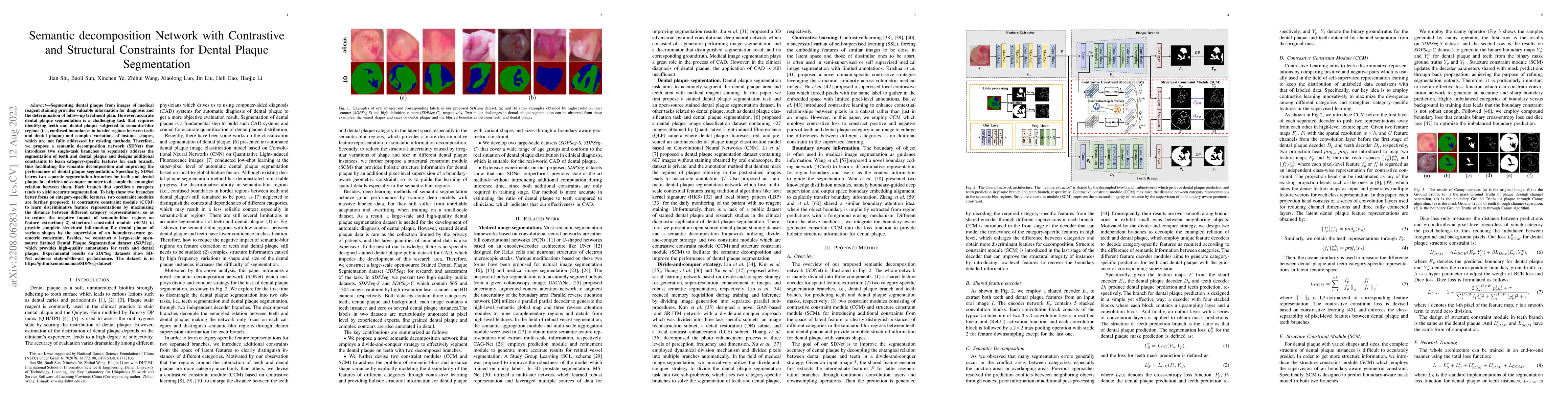Thumbnail for Semantic decomposition Network with Contrastive and Structural
  Constraints for Dental Plaque Segmentation