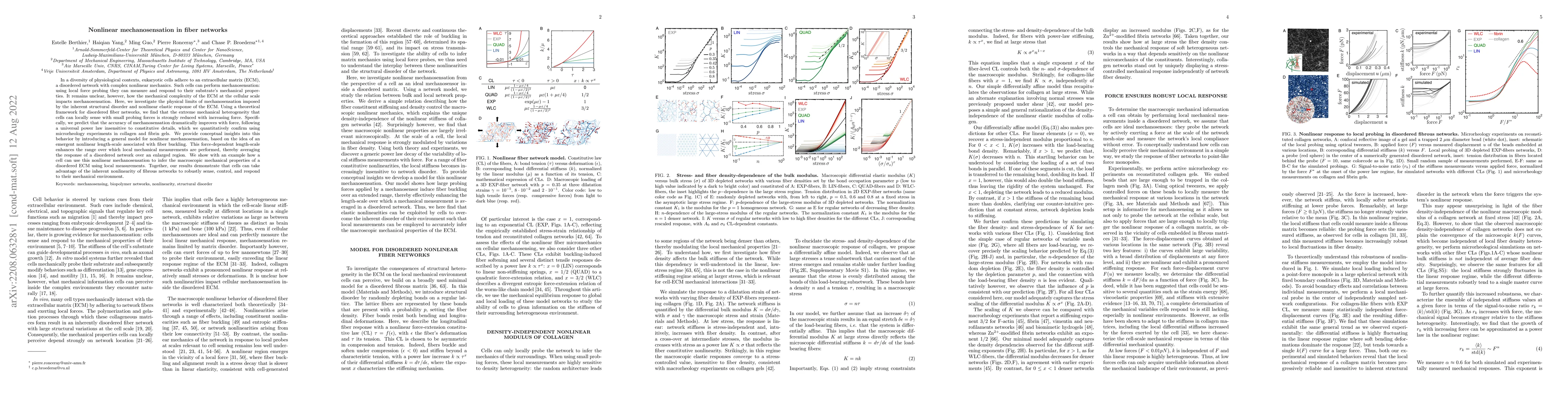 Thumbnail for Nonlinear mechanosensation in fiber networks