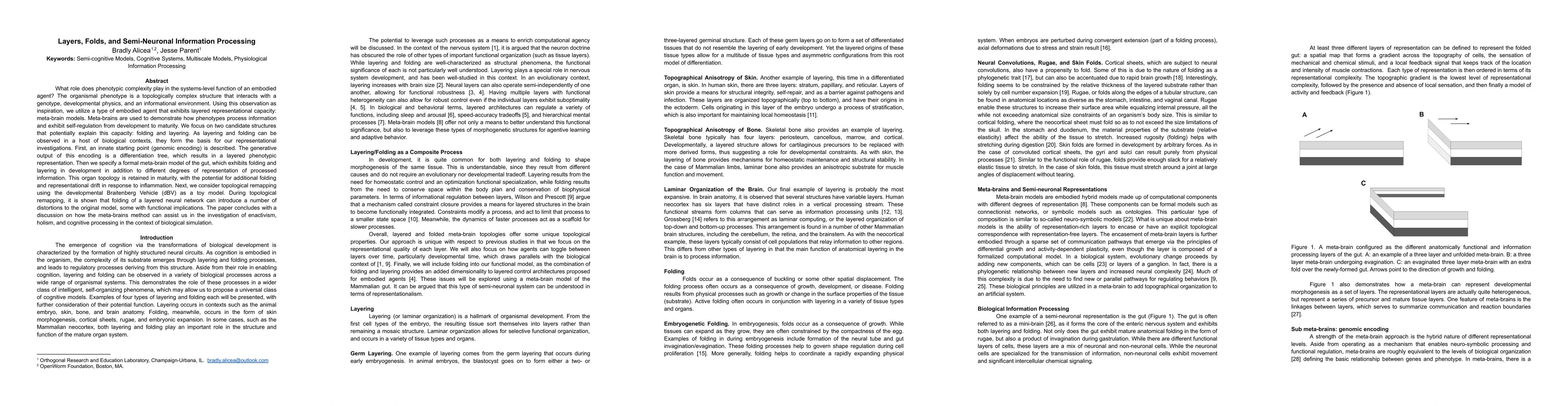 Thumbnail for Layers, Folds, and Semi-Neuronal Information Processing