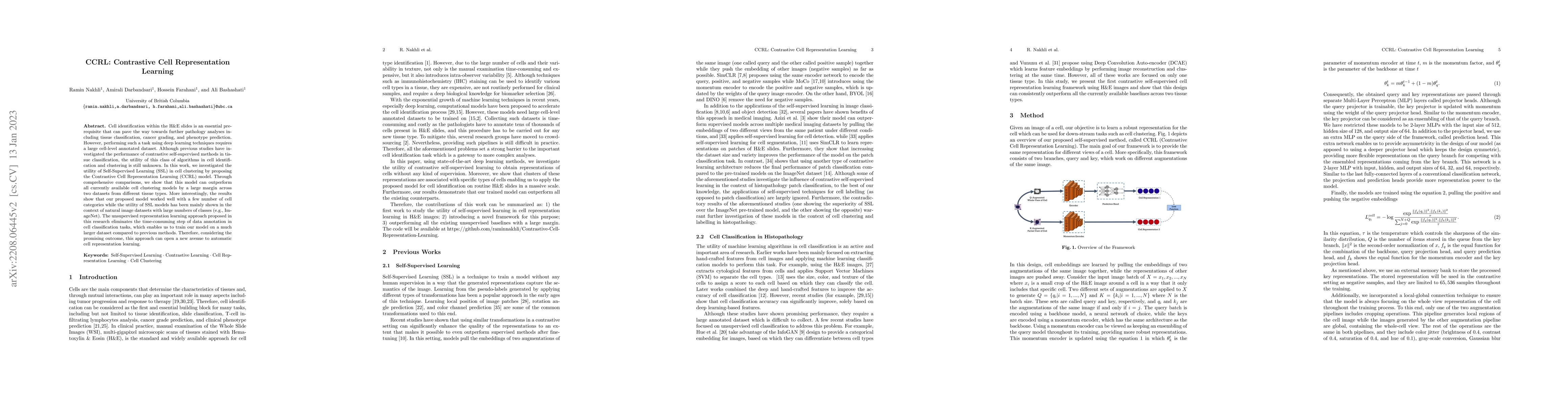 Thumbnail for CCRL: Contrastive Cell Representation Learning