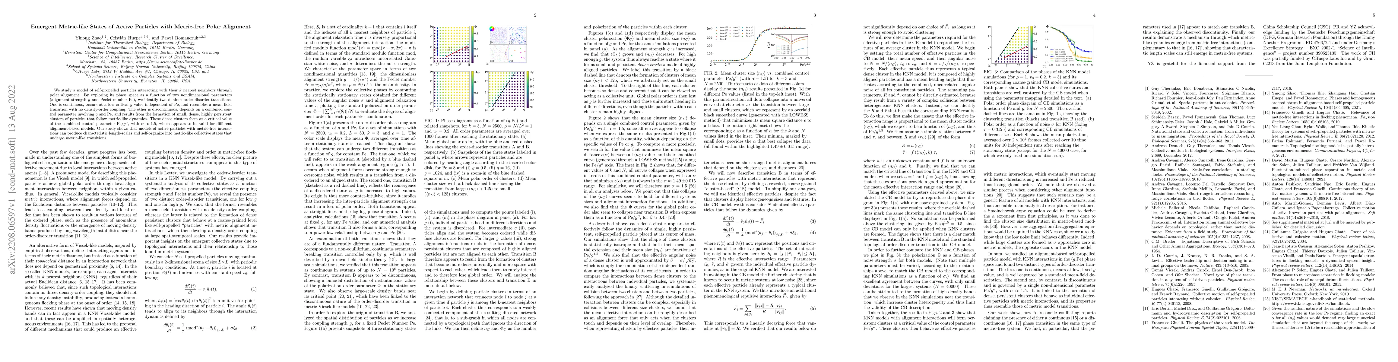 Thumbnail for Emergent Metric-like States of Active Particles with Metric-free Polar
  Alignment