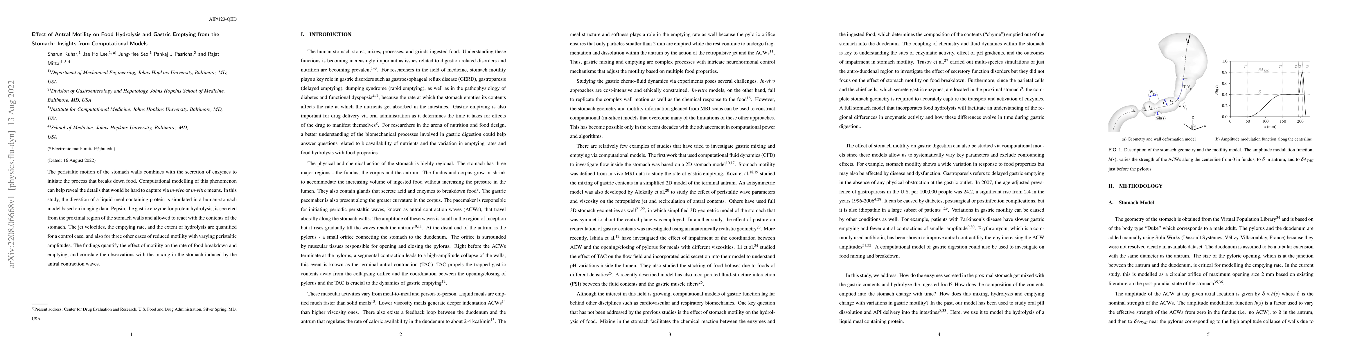 Thumbnail for Effect of Antral Motility on Food Hydrolysis and Gastric Emptying from
  the Stomach: Insights from Computational Models