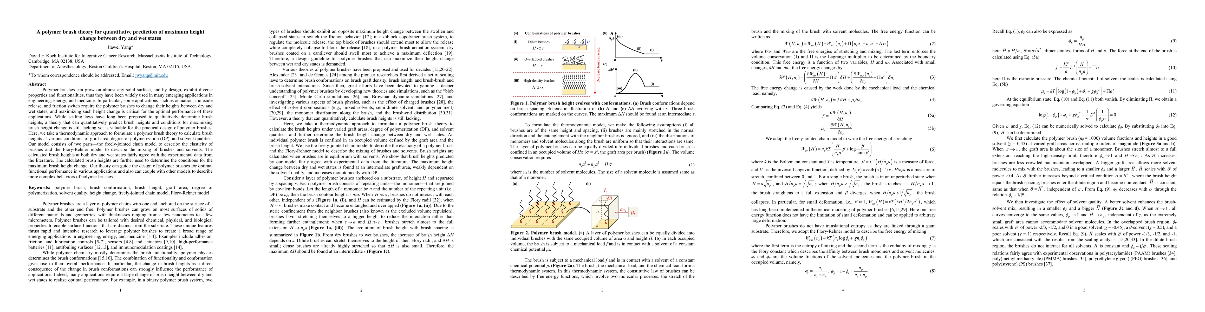 Thumbnail for A polymer brush theory for quantitative prediction of maximum height
  change between dry and wet states