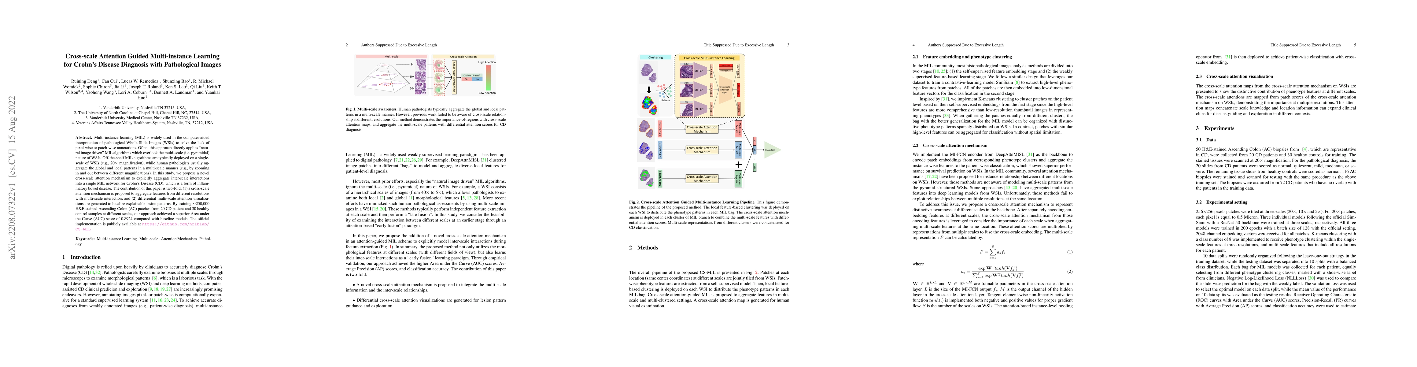Thumbnail for Cross-scale Attention Guided Multi-instance Learning for Crohn's Disease
  Diagnosis with Pathological Images