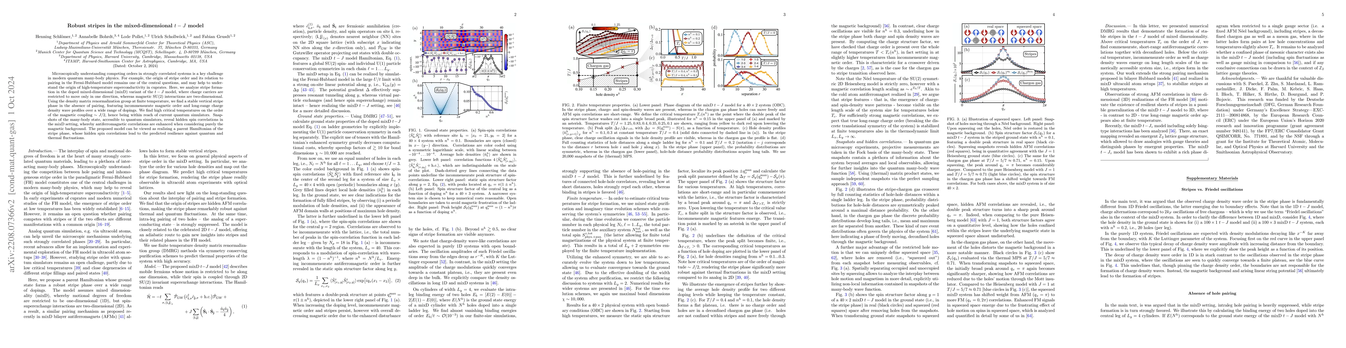 Thumbnail for Robust stripes in the mixed-dimensional $t-J$ model