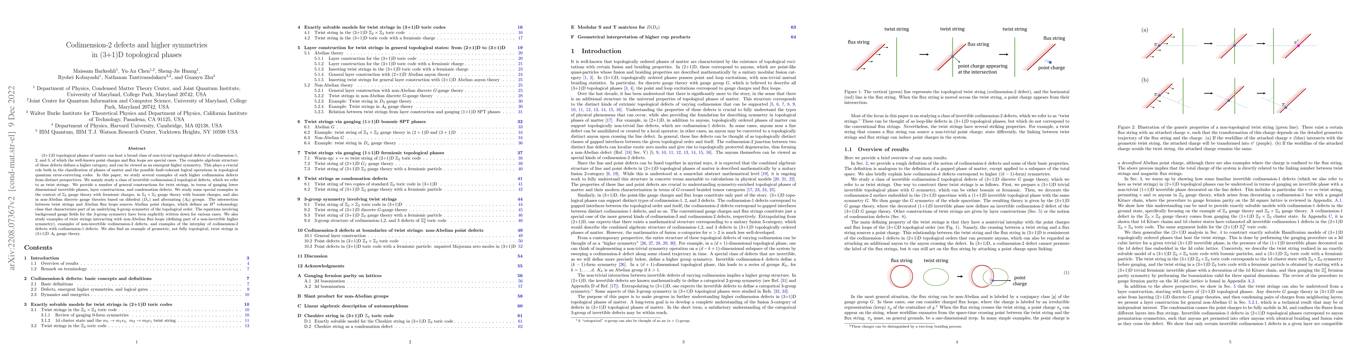 Thumbnail for Codimension-2 defects and higher symmetries in (3+1)D topological phases