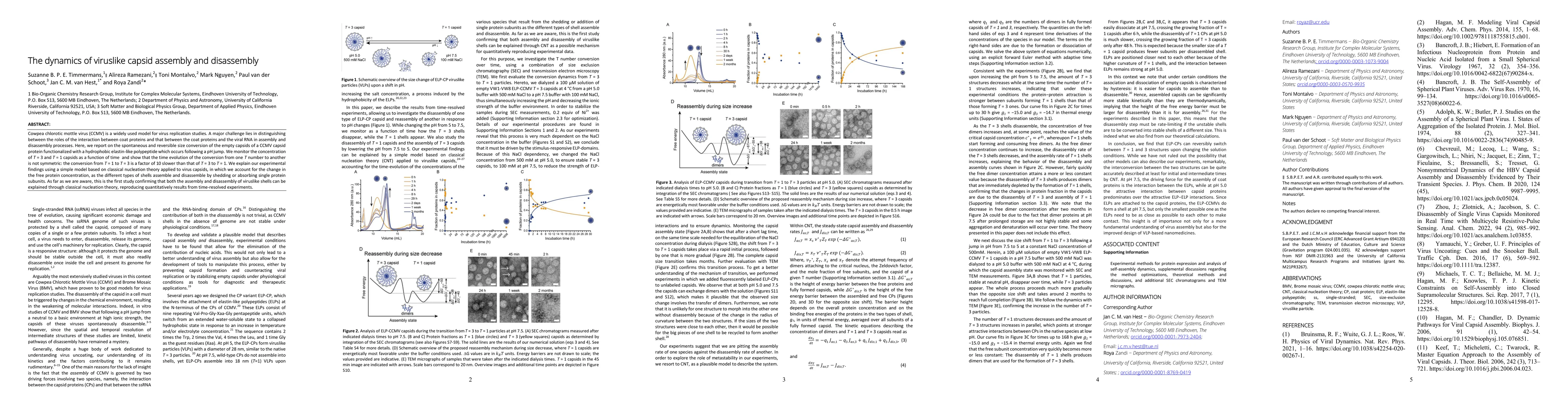 Thumbnail for The dynamics of viruslike capsid assembly and disassembly
