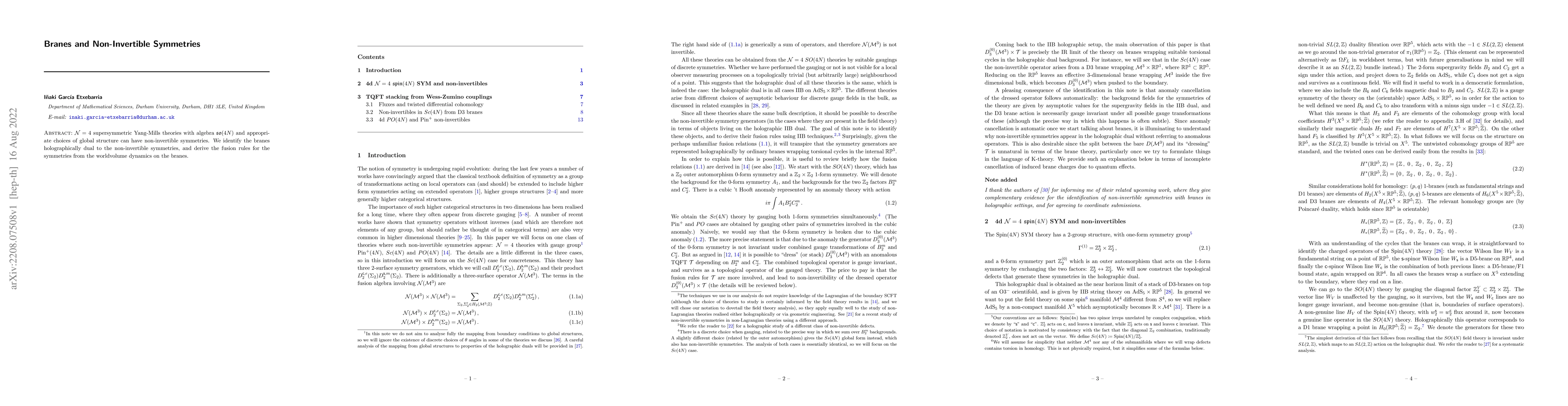 Thumbnail for Branes and Non-Invertible Symmetries