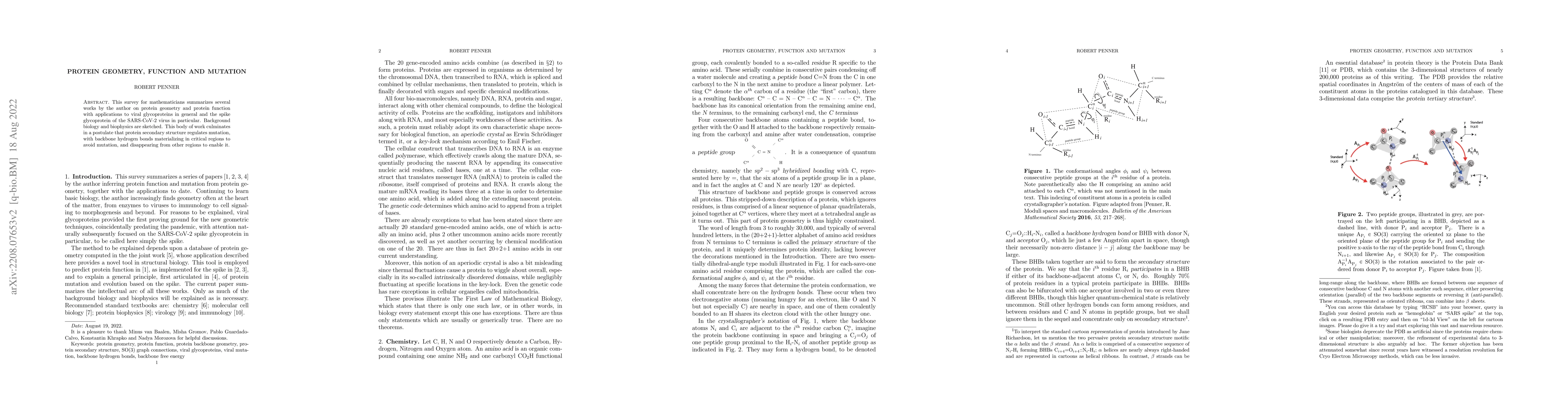 Thumbnail for Protein Geometry, Function and Mutation