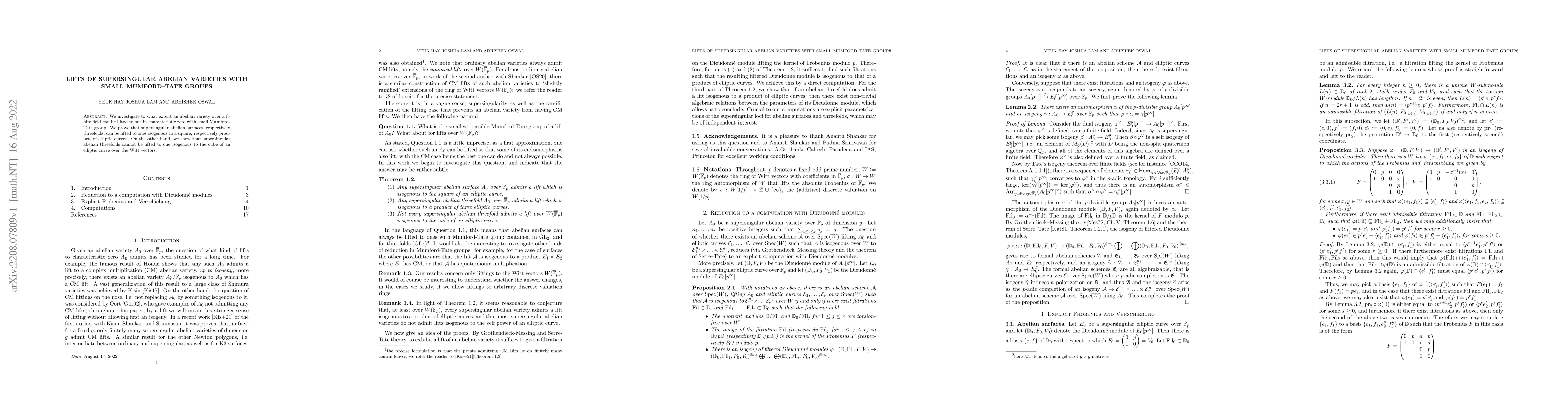 Thumbnail for Lifts of supersingular abelian varieties with small Mumford-Tate groups