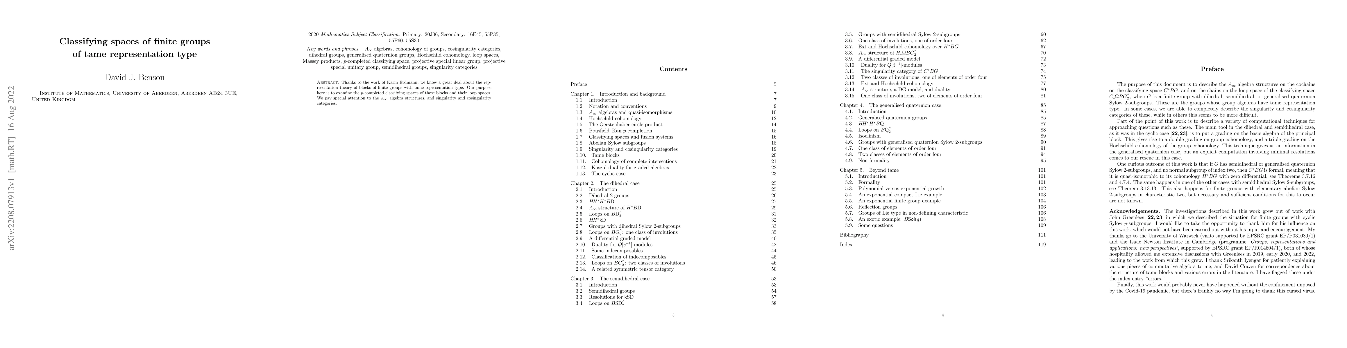 Thumbnail for Classifying spaces of finite groups of tame representation type