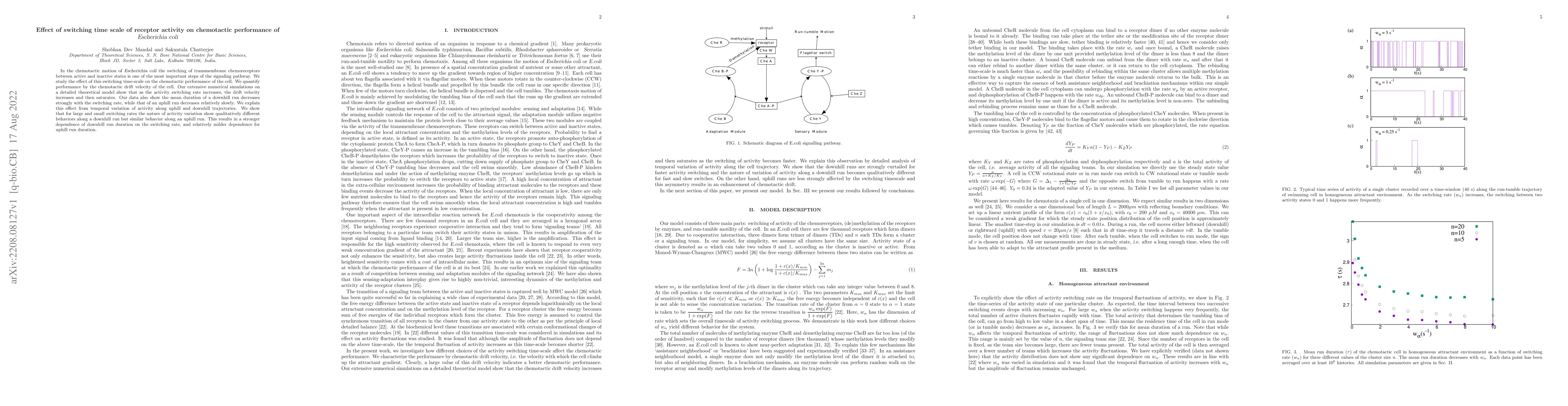 Thumbnail for Effect of switching time scale of receptor activity on chemotactic
  performance of Escherichia coli
