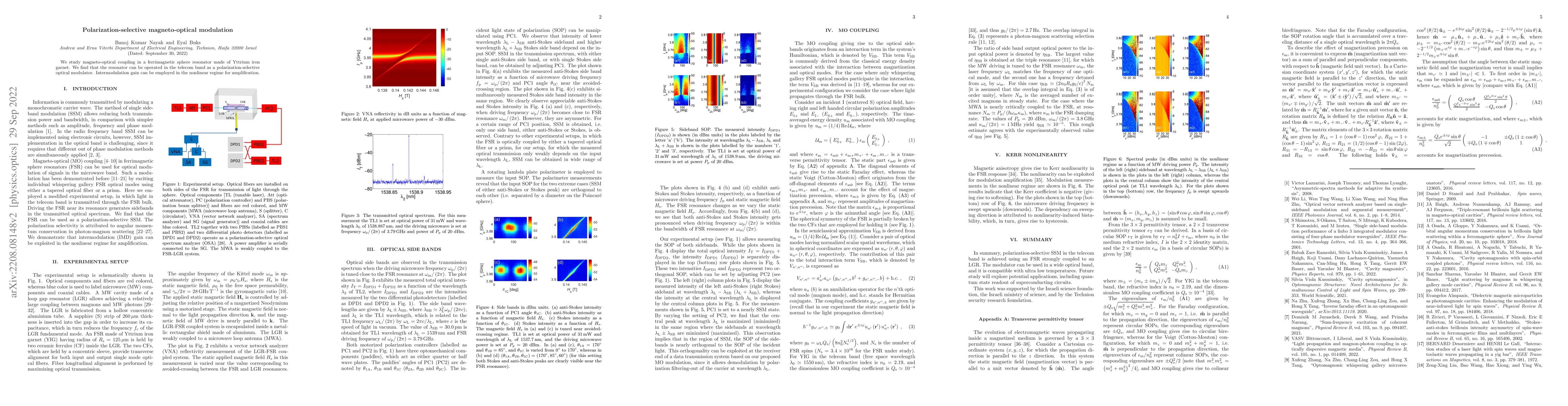 Thumbnail for Polarization-selective magneto-optical modulation