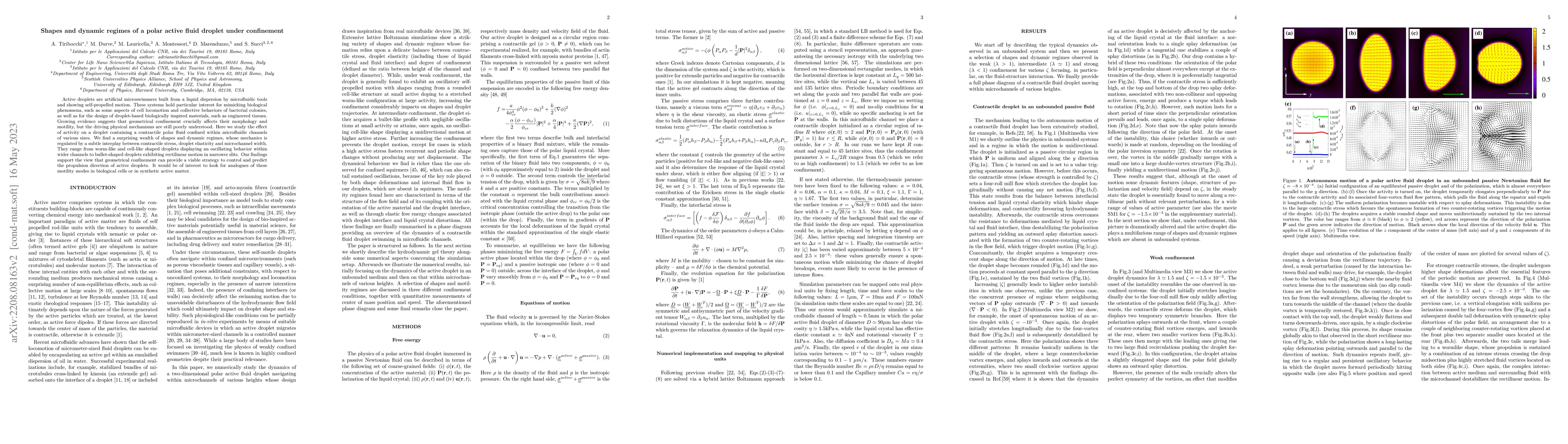 Thumbnail for Shapes and dynamic regimes of a polar active fluid droplet under
  confinement