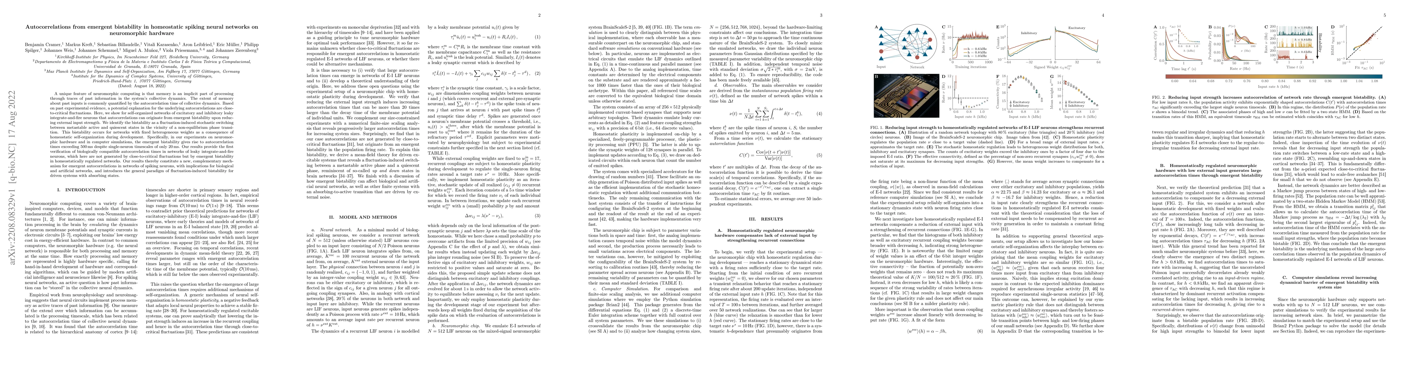 Thumbnail for Autocorrelations from emergent bistability in homeostatic spiking neural
  networks on neuromorphic hardware