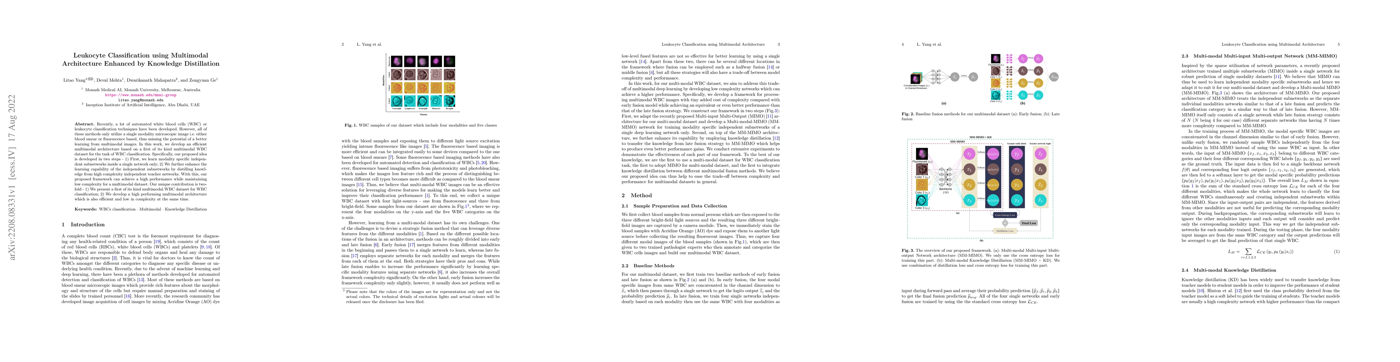 Thumbnail for Leukocyte Classification using Multimodal Architecture Enhanced by
  Knowledge Distillation