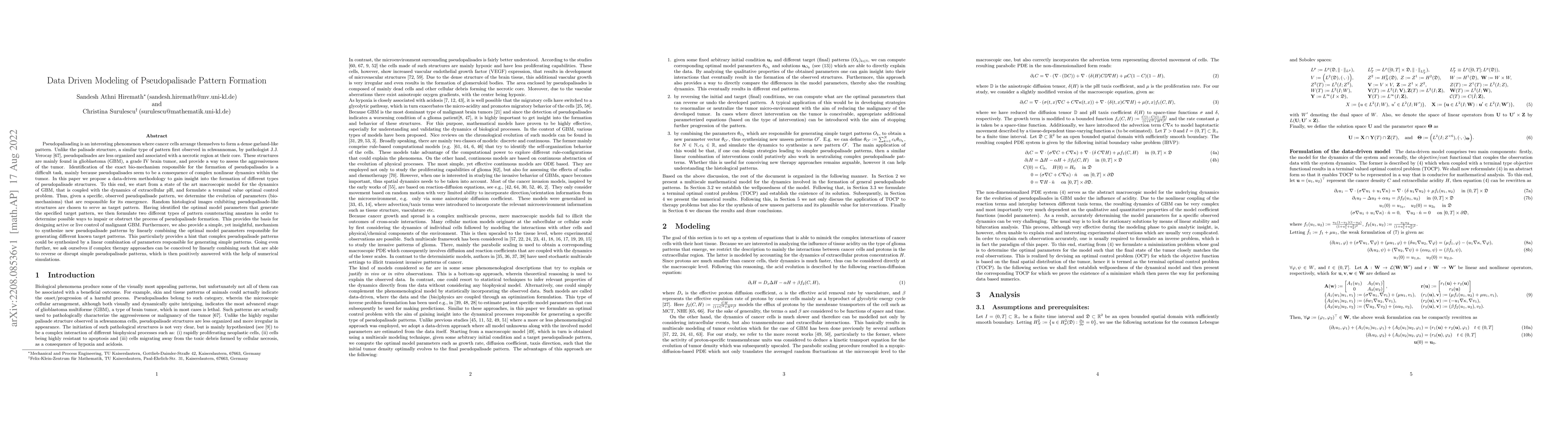 Thumbnail for Data Driven Modeling of Pseudopalisade Pattern Formation