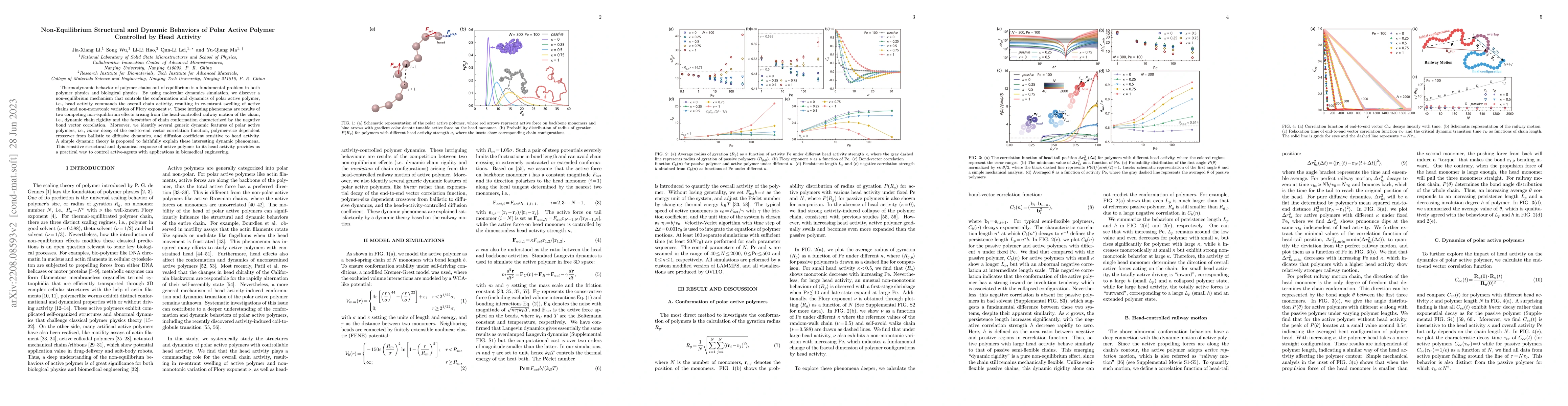 Thumbnail for Non-Equilibrium Structural and Dynamic Behaviors of Polar Active Polymer
  Controlled by Head Activity