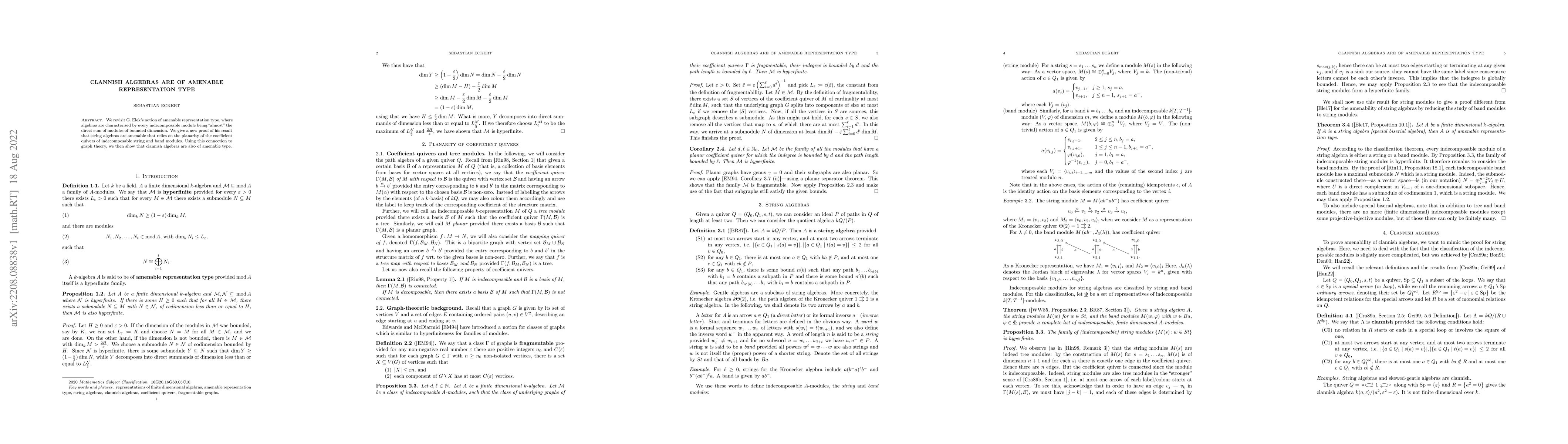 Thumbnail for Clannish algebras are of amenable representation type