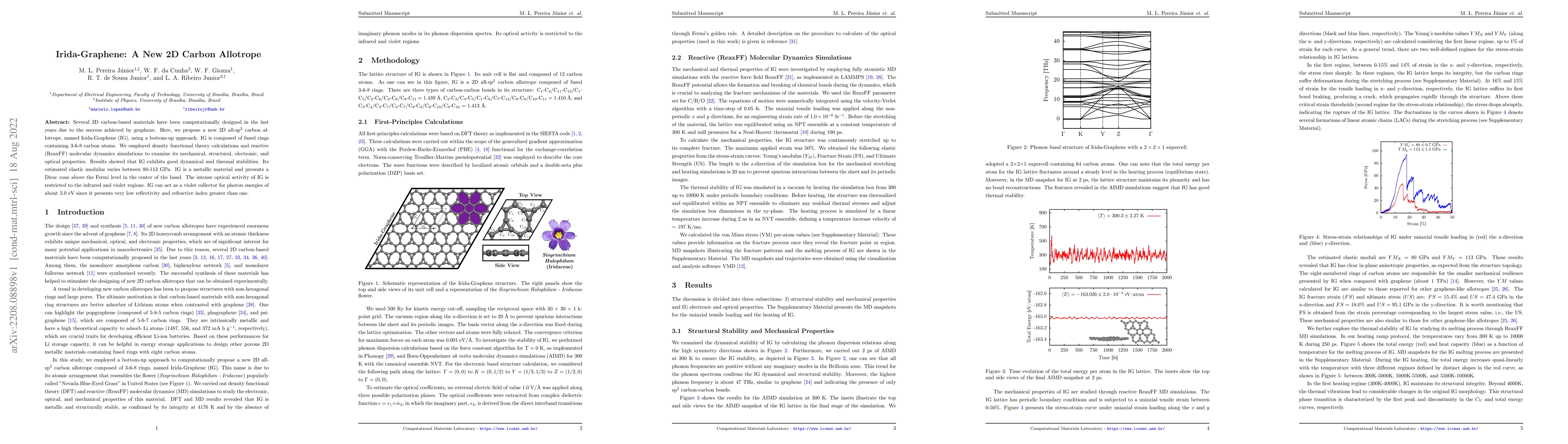 Thumbnail for Irida-Graphene: A New 2D Carbon Allotrope