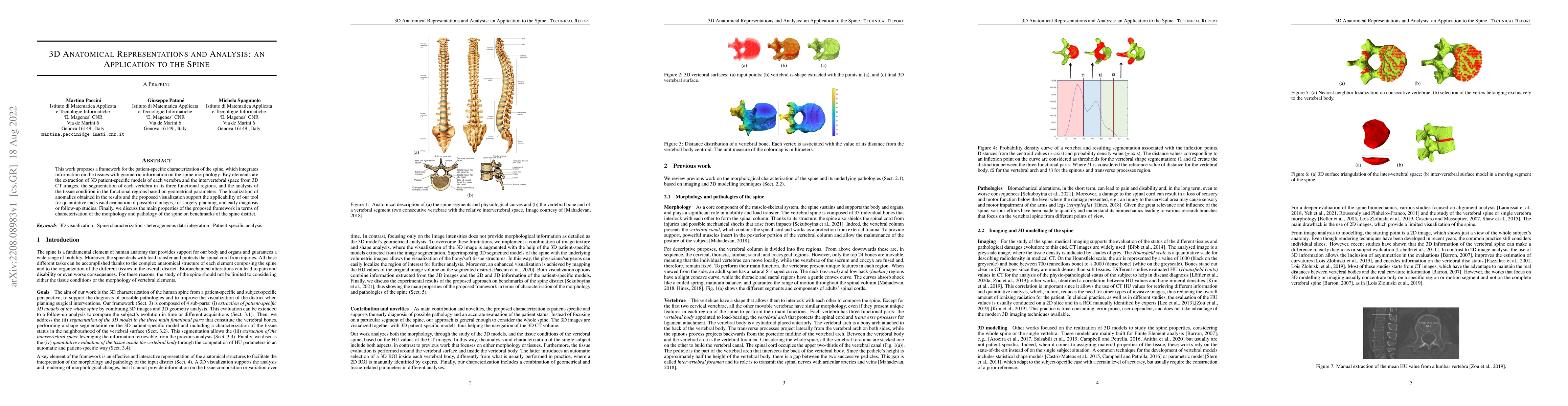 Thumbnail for 3D Anatomical Representations and Analysis: an Application to the Spine