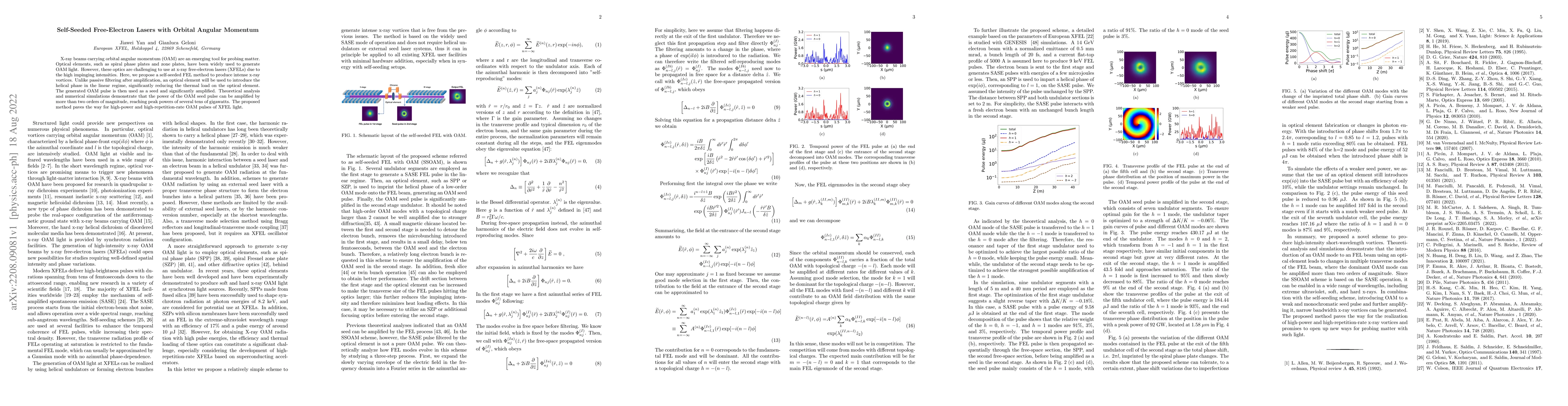 Thumbnail for Self-Seeded Free-Electron Lasers with Orbital Angular Momentum