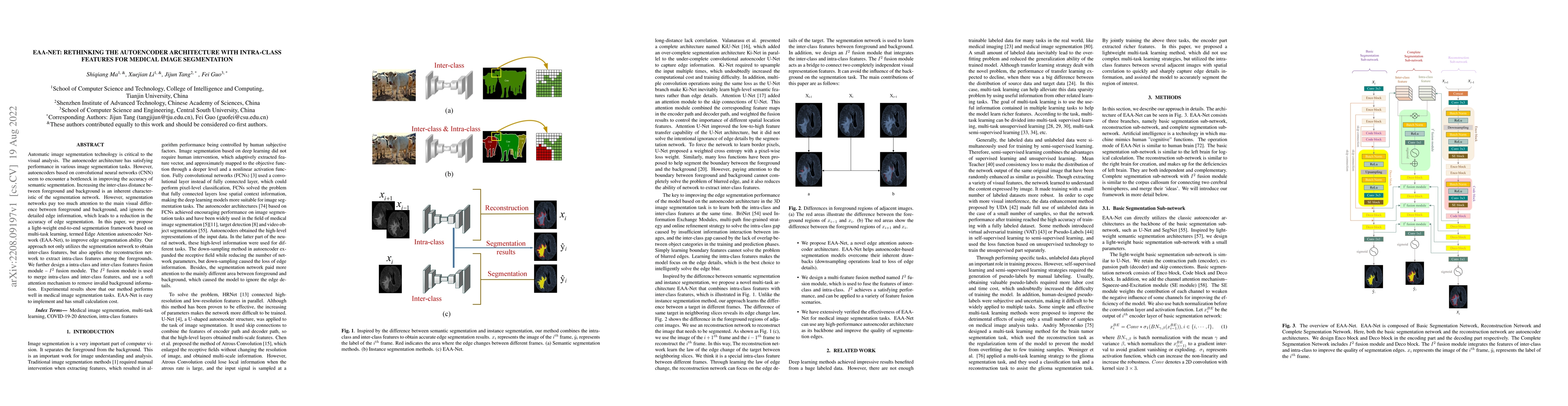 Thumbnail for EAA-Net: Rethinking the Autoencoder Architecture with Intra-class
  Features for Medical Image Segmentation