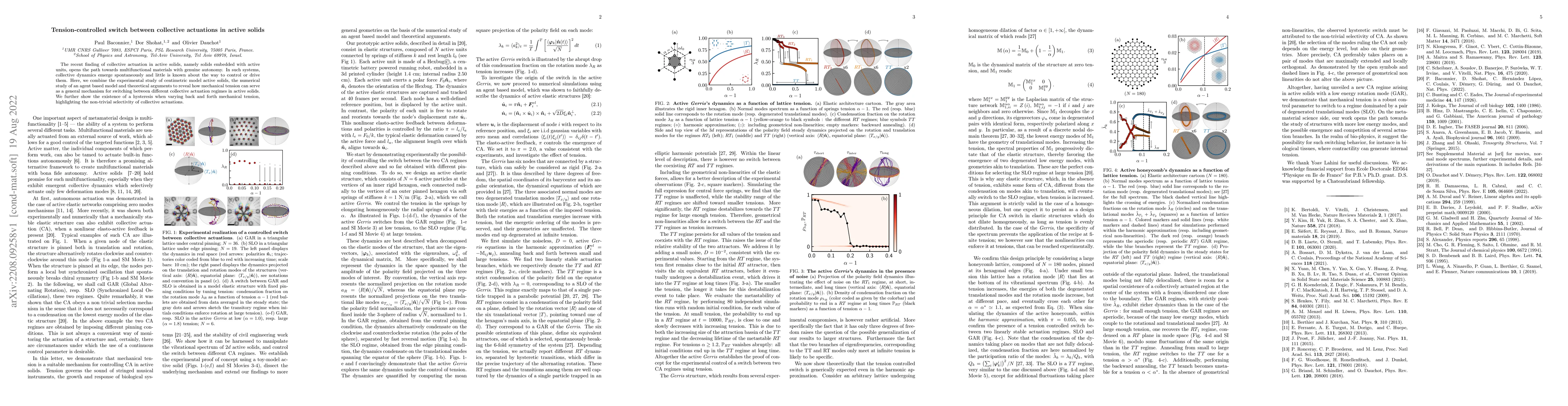 Thumbnail for Tension-controlled switch between collective actuations in active solids