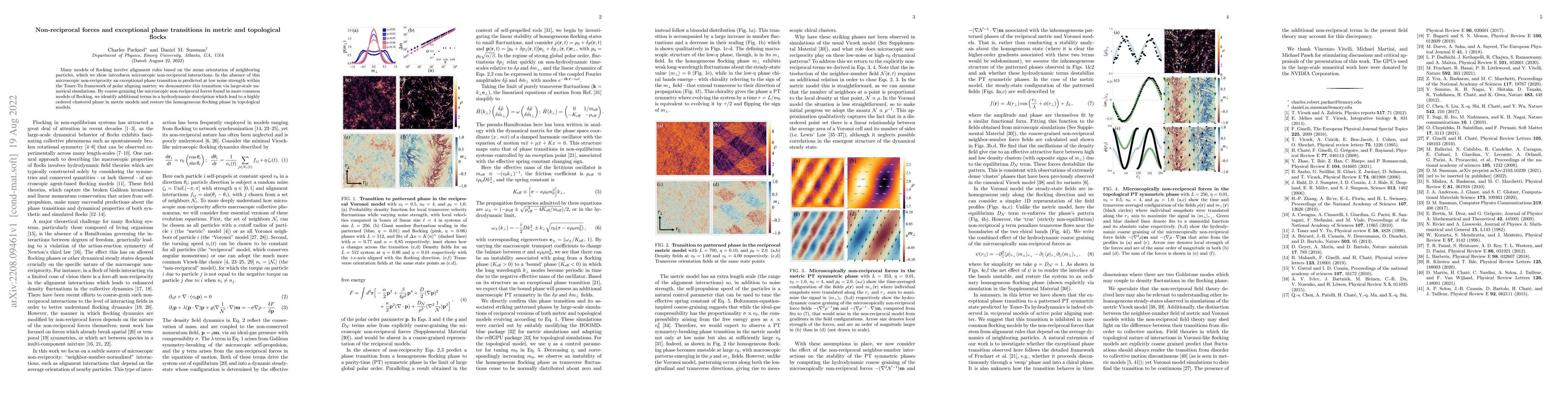 Thumbnail for Non-reciprocal forces and exceptional phase transitions in metric and
  topological flocks
