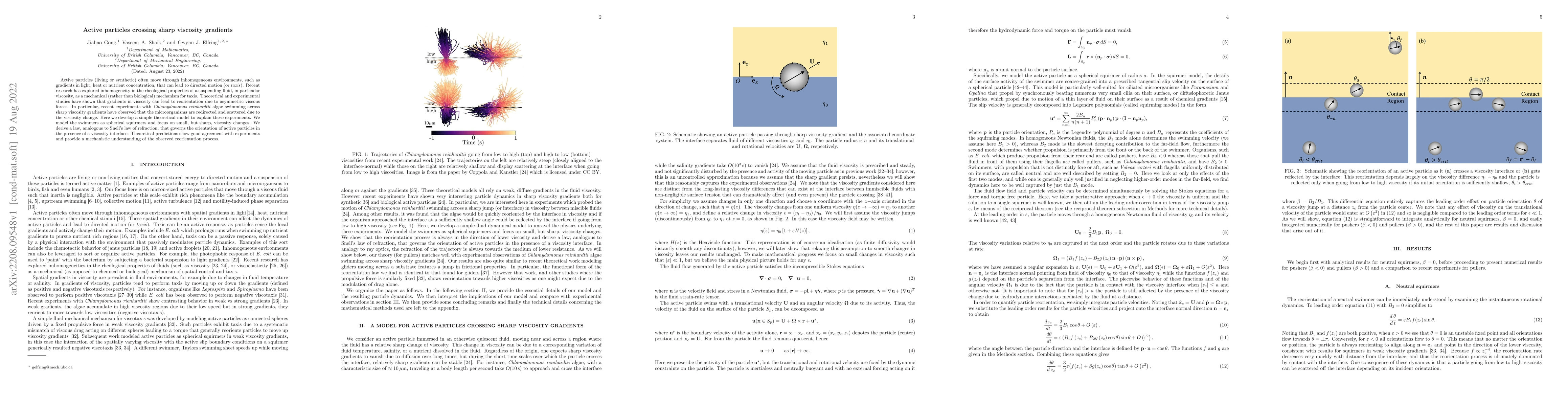 Thumbnail for Active particles crossing sharp viscosity gradients