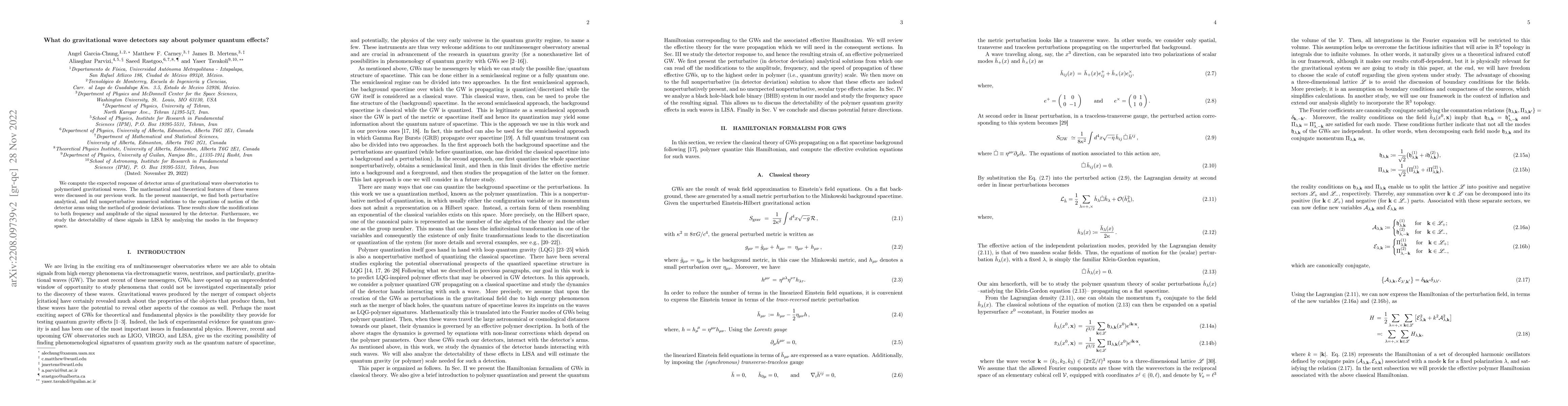 Thumbnail for What do gravitational wave detectors say about polymer quantum effects?